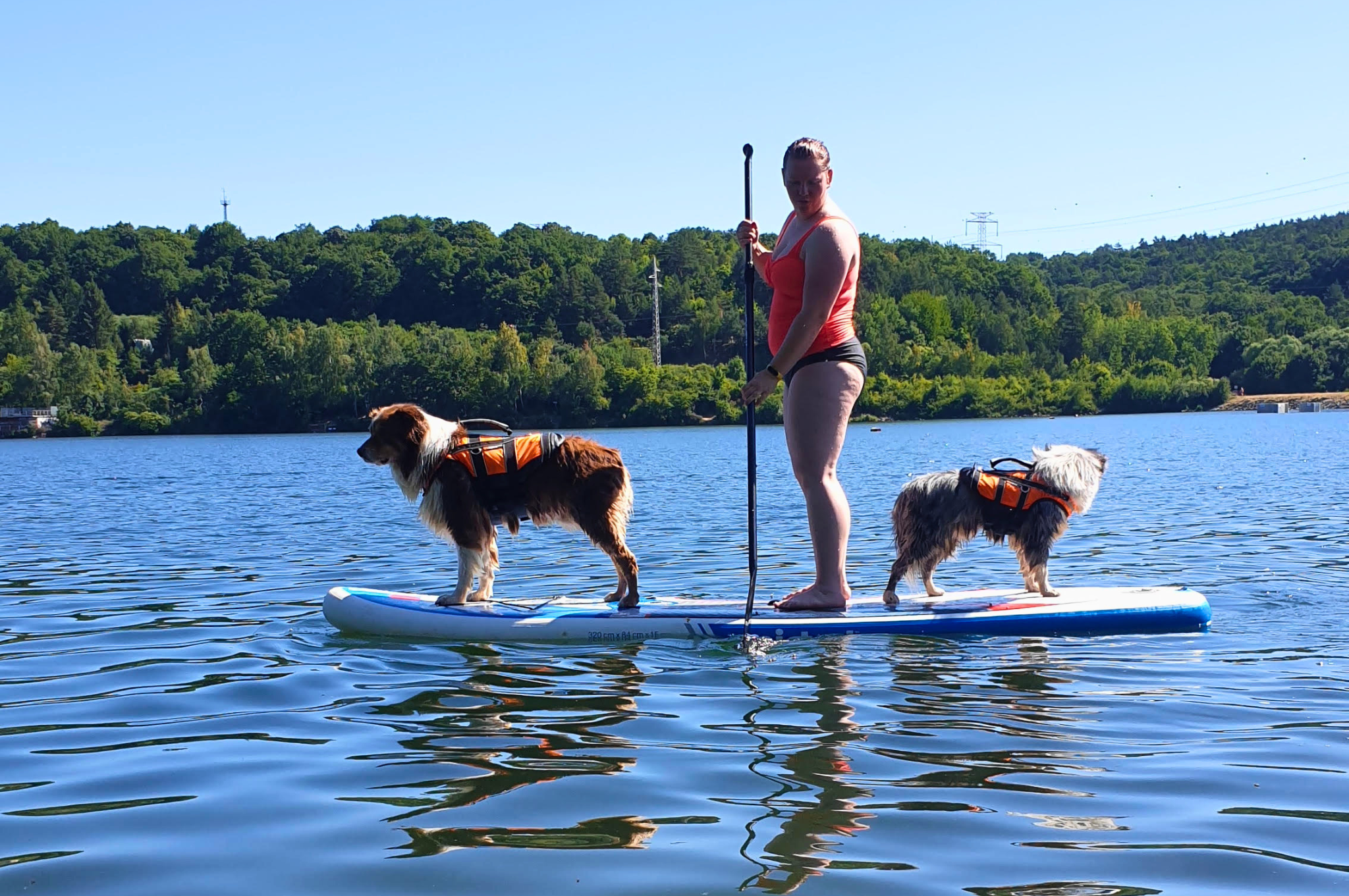 paddleboard so psom